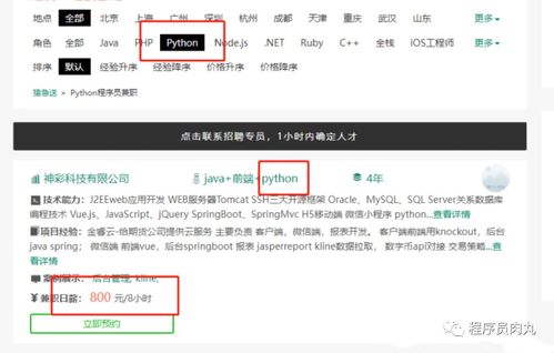 Python編程賺錢指南 從零開始的月入過萬路徑與軟件外包實踐